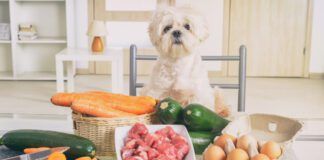Preparing natural food for pets