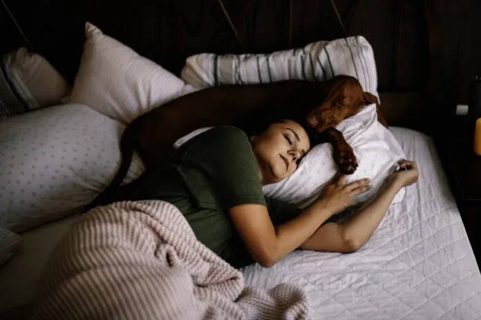 Should your dog sleep in your bed? There are several pros and cons.