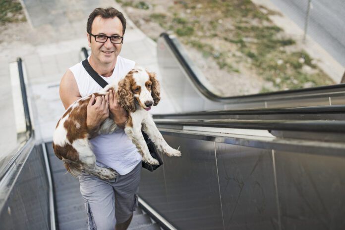 Fear of Escalator