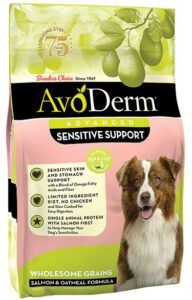 What’s the Best Dry Dog Food? 2024’s Top Picks in 8 Categories avoderm