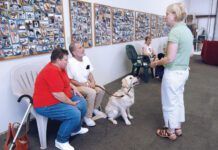 group dog training class