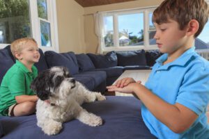 Boys with hearing impairments signing pet in American sign language on their couch