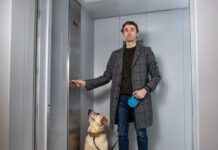 Handsome stylish man standing with labrador dog in elevator