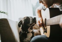 Singing to a dog.