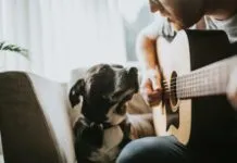 Singing to a dog.
