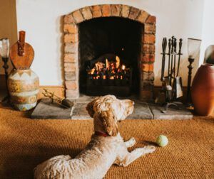 Sandy coloured cockapoo lies in front of an open fire with his ball