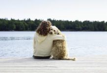 Choosing to use respectful dog training language with your dog is important for both training and your relationship.