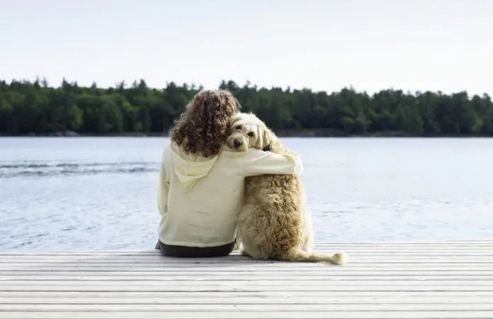 Woman sitting with dog on jetty, rear view Choosing to use respectful dog training language with your dog is important for both training and your relationship.