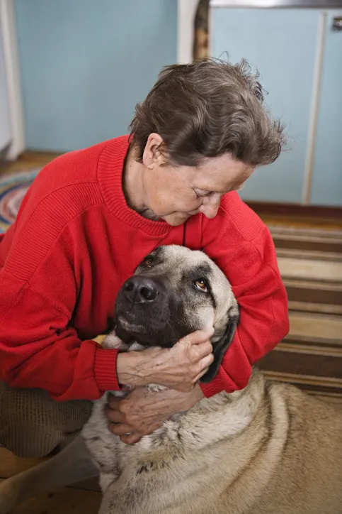 Senior woman hugging dog senior woman with large dog