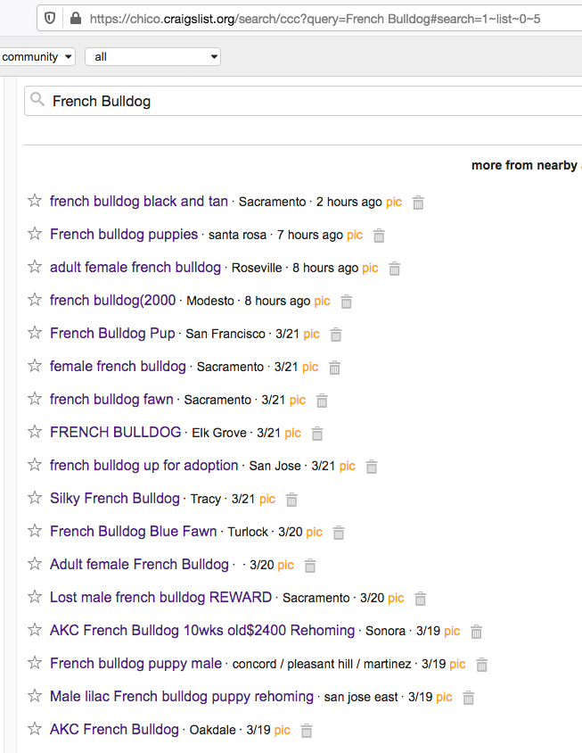 A screenshot of a Craigslist page, with dozens of ads for French Bulldogs for sale