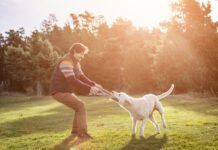 Man playing tug of war with dog in park