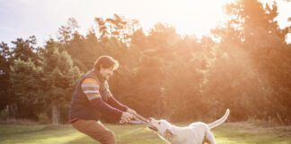 Man playing tug of war with dog in park