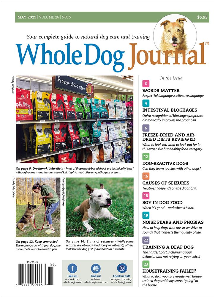 Download The Full May 2023 Issue PDF Whole Dog Journal