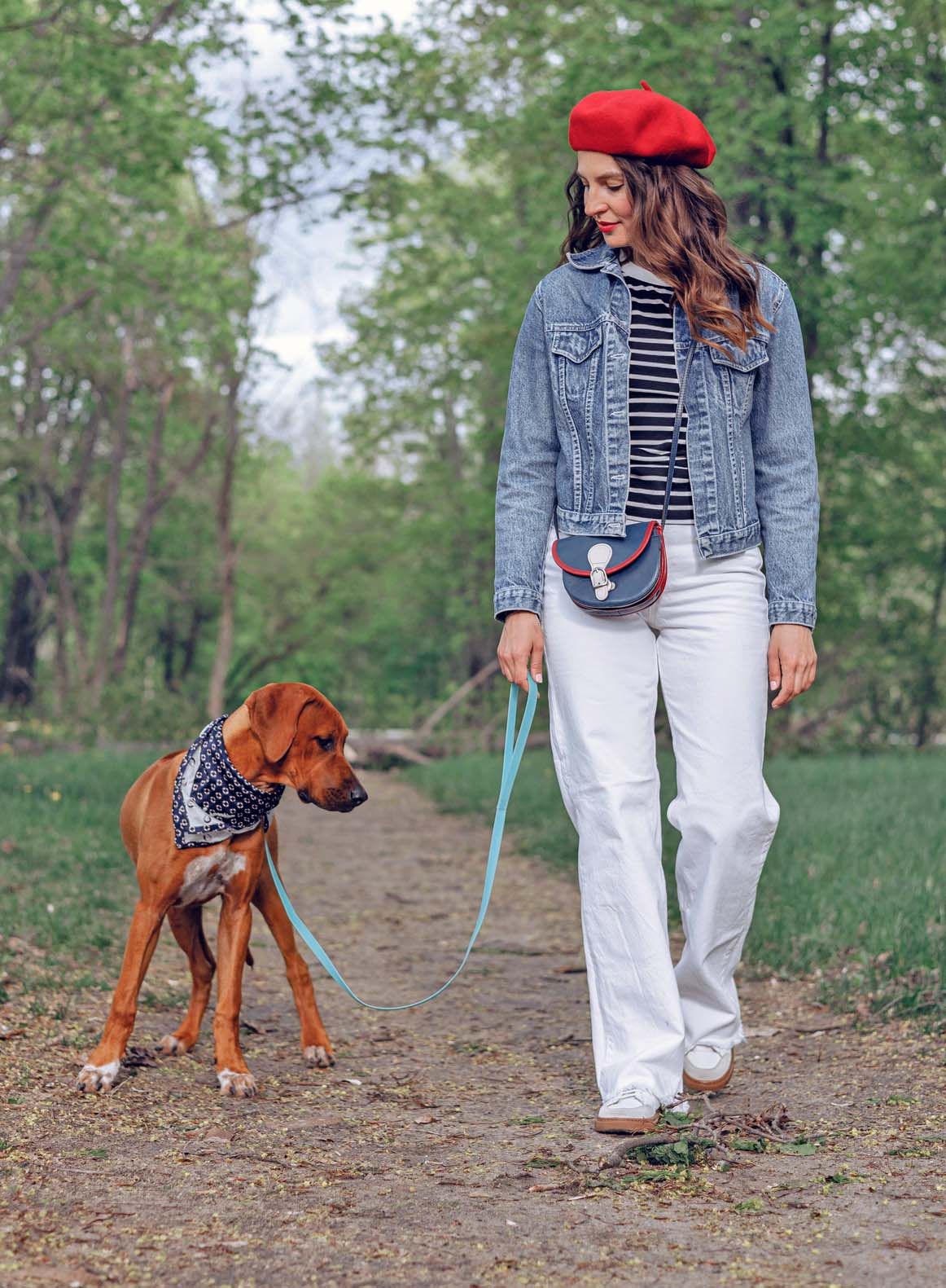 How Far Can I Walk My Puppy Whole Dog Journal