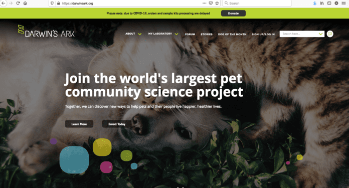 darwins ark dog dna test