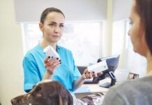 Female veterinarian giving medication to dog owner in veterinary surgery