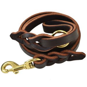 jj leather leash