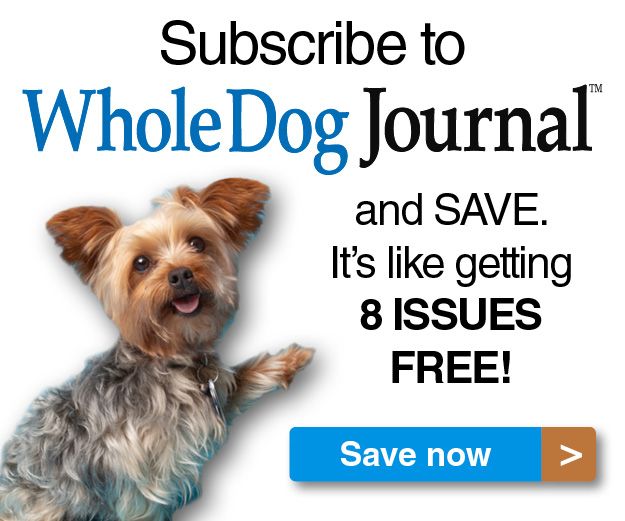 Subscribe to Whole Dog Journal and Save