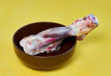 Home-Prepared Diets eBook from Whole Dog Journal