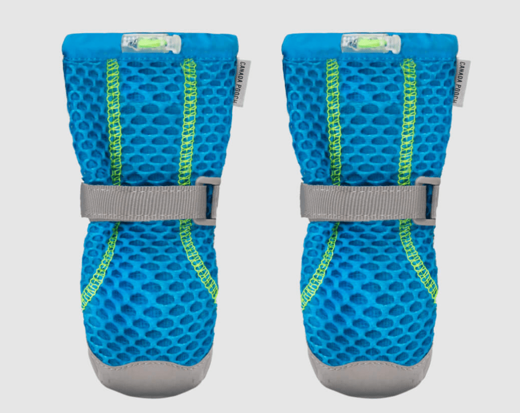 The Best Summer Dog Shoes Whole Dog Journal