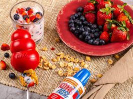 The best kong filler ideas are both tasty and nutritious for your dog.