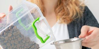 pet food storage, the owner pours dry food from the container box into the dog bowl, cat feed