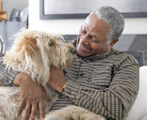 Senior man sitting on sofa, playing with dog, close-up