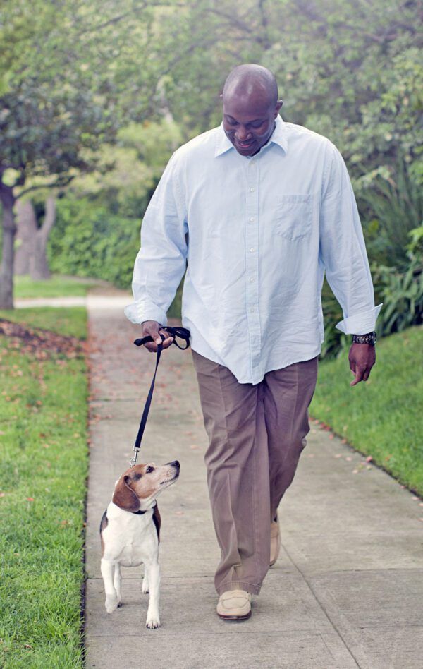 Tips For DogWalking Etiquette Whole Dog Journal
