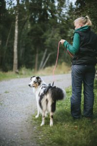 Woman walking dog