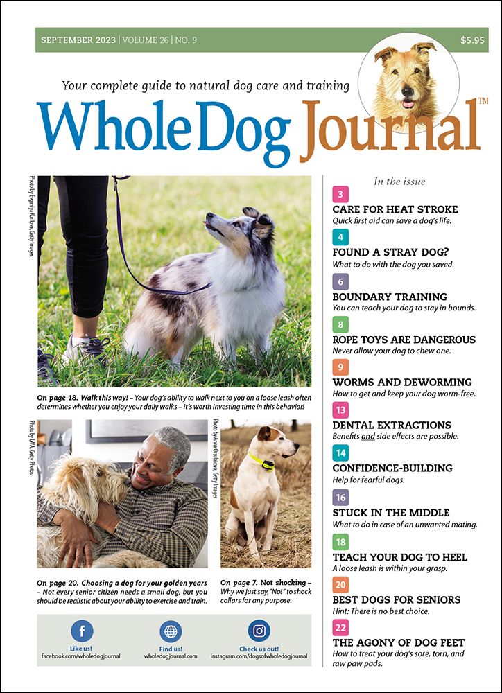 Download The Full September 2023 Issue PDF Whole Dog Journal