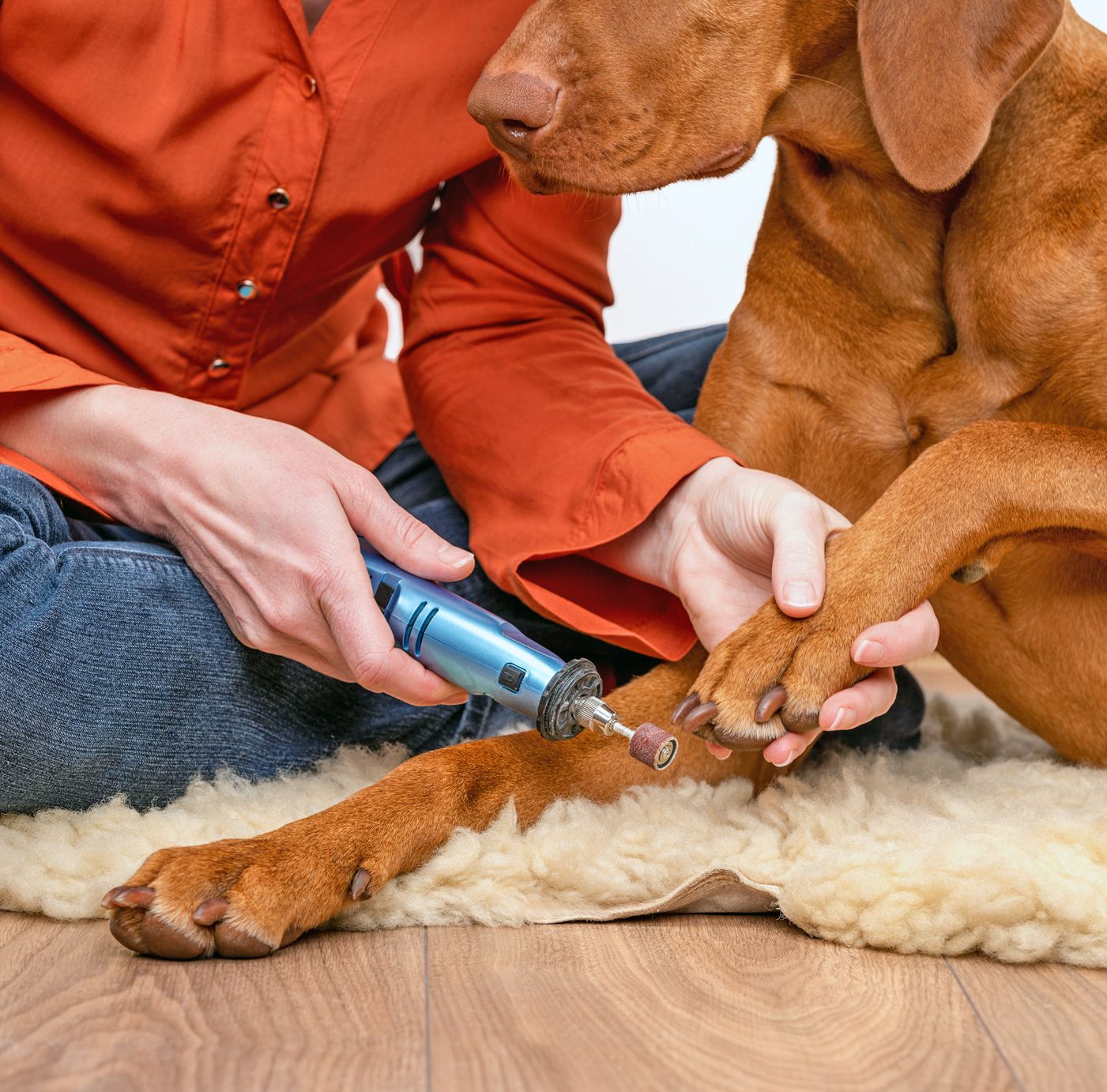 Amazon.com: Dog Nail Grinder with LED Light, Rechargeable Dog Nail Grinder  for Large Dogs, Medium & Small Dogs, Professional Pet Nail Grinder for Dogs  Quiet Soft Puppy Grooming, Cat Nail Grinder, Dog