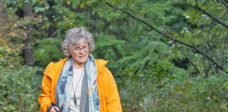 Woman taking her dog for a walk on a forest path