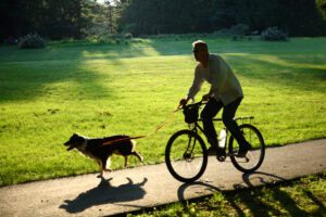 Silhouetted Cyclist And Dog