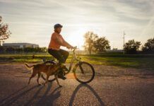 Senior woman riding bicycle and walking Malinois dog