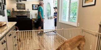 A dog gate can keep your dogs confined without the need for a crate or a kennel.