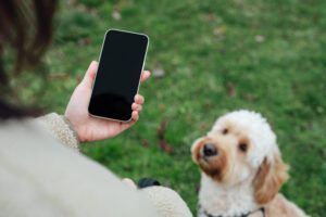 Close up of young woman using smartphone while walking her dog at the park
