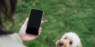 Close up of young woman using smartphone while walking her dog at the park