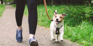 Woman running with dog to workout during morning walk