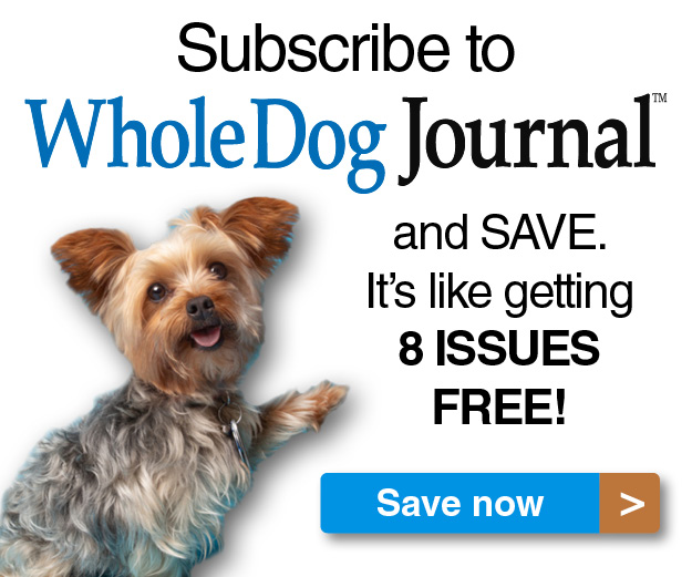 What's the Ideal Feeding Schedule for Dogs? - Whole Dog Journal