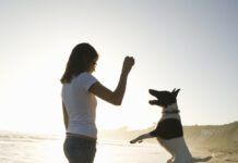 Young girl standing on beach, playing with dog