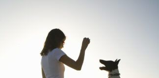 Young girl standing on beach, playing with dog