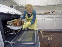 A older woman pulls a turkey out of the oven while a small dog looks on in anticipation.