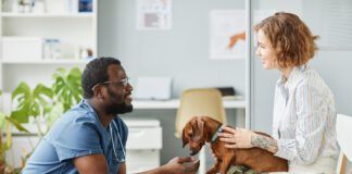 Happy young pet owner consulting with African-American male veterinarian in blue medical scrubs sitting on squats in front of her