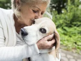 Taking Care of Your Senior Dog eBook from Whole Dog Journal