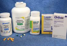 A group of pill bottles containing common antibiotics for dogs.