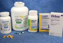 A group of pill bottles containing common antibiotics for dogs.