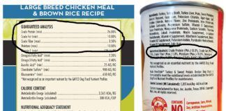 Photo of a canned dog food label with the protein and carbohydrates circled.