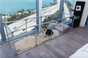 A small dog enjoys and unimpeded view from a high rise courtesy of his see-through pen.