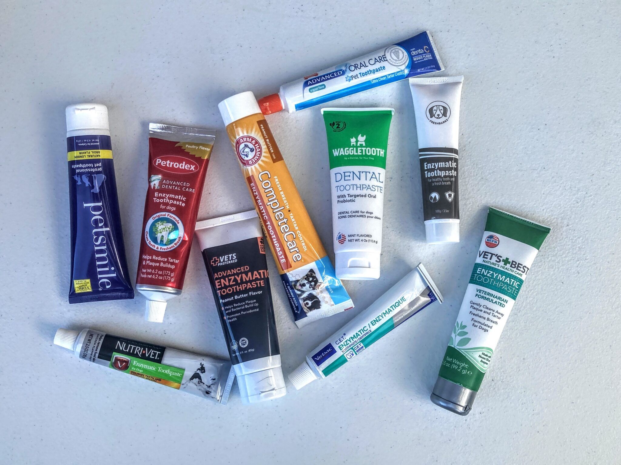 Athome Dental Care for Dogs Whole Dog Journal