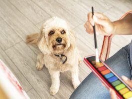 Close-up of mature woman sitting with dog while painting on canvas at home